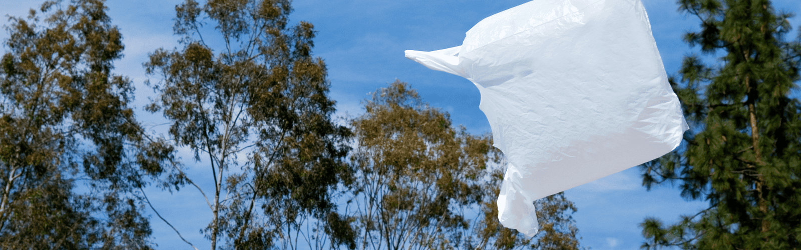 Plastic bag (being used inside a health care facility for patient belongings or similar situation, if available)