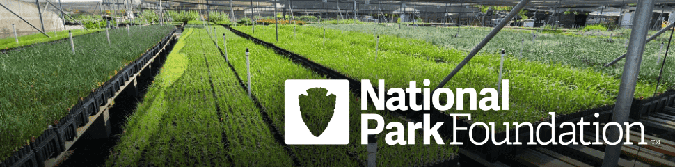 National Park Week