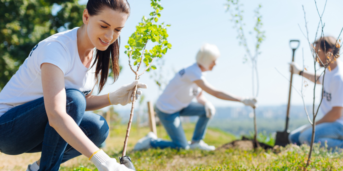 Stericycle Commits 100K to the Arbor Day Foundation to Replant Trees