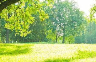 1804-Waste-into-Energy_Header-Banner.jpg