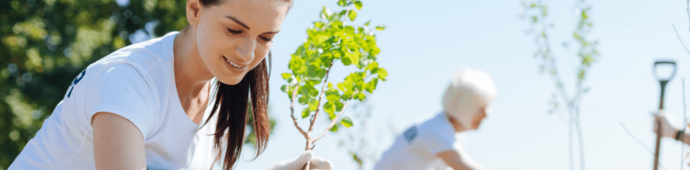 Volunteers planting trees