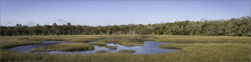 National Park Foundation Partnership